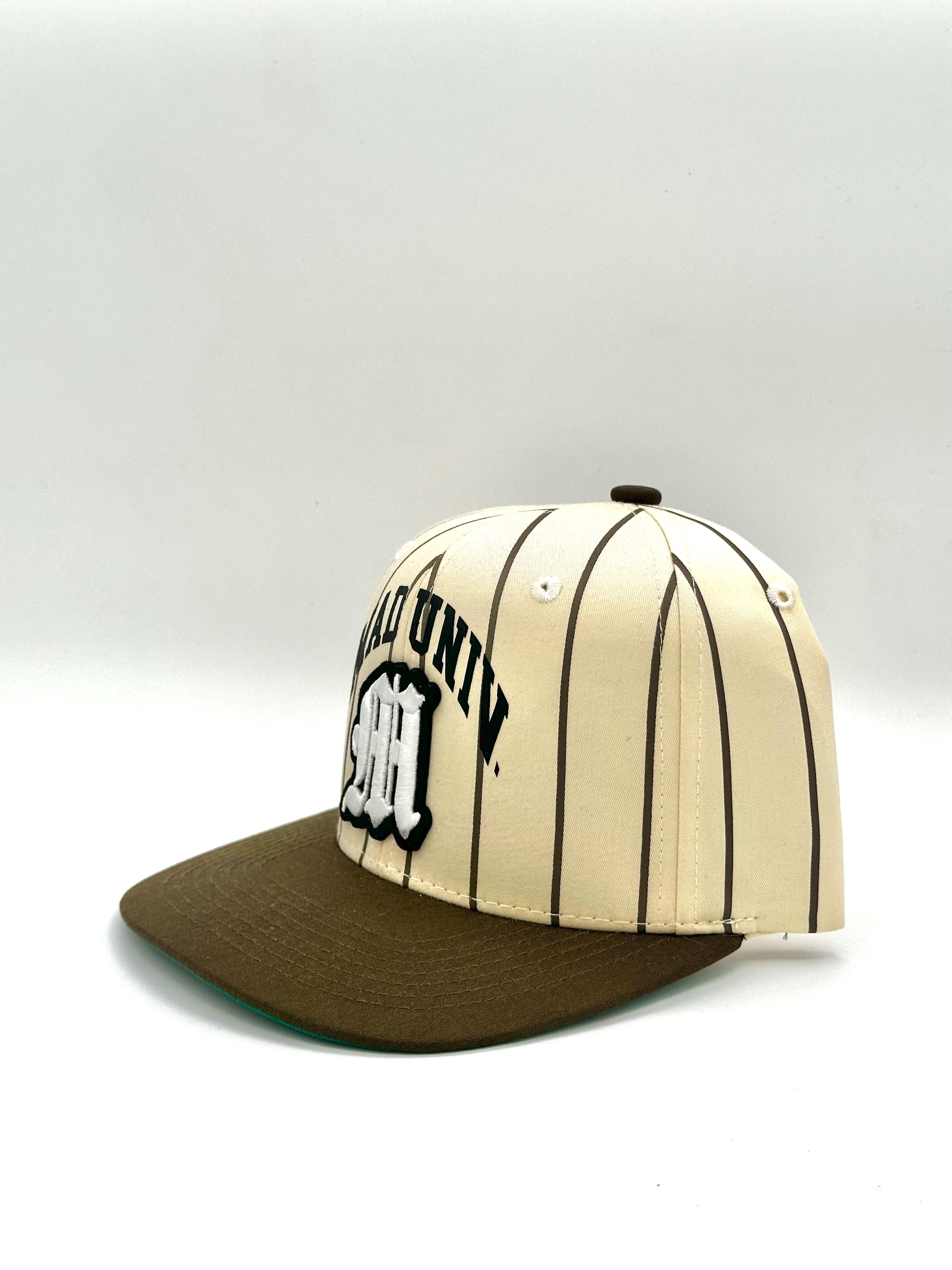 Vintage Fast Pitch Hat